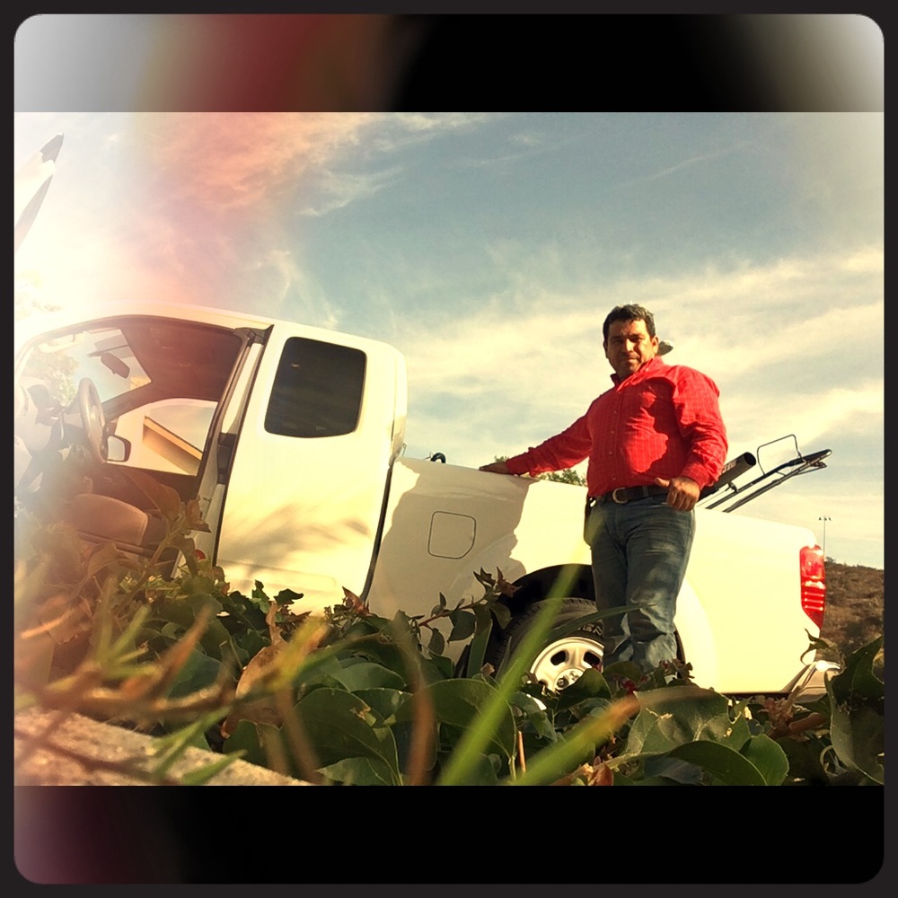 Full garden service